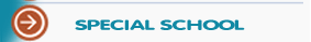special school